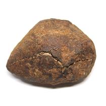 Chondrite MOROCCAN Stony METEORITE Genuine 158.7 grams w/ COA  #17150 9o