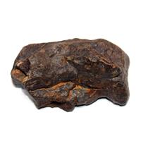 Chondrite MOROCCAN Stony METEORITE Genuine 117.0 grams w/ COA  #17449 9o