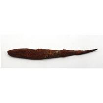 HYBODUS Shark Dorsal Fin Spine Real Fossil 7 inch 18080