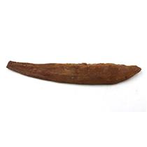 Hybodus Shark Dorsal Fin Spine Real Fossil 8 inch 18098