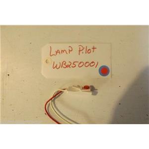 GE STOVE WB250001 Lamp Pilot  USED PART