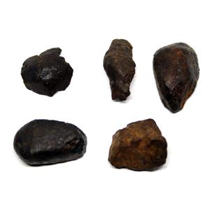 Chondrite MOROCCAN Stony METEORITE Lot of 5 Genuine 32.2 gm total  #16613