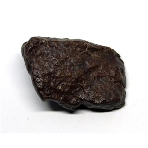 Chondrite MOROCCAN Stony METEORITE Genuine 46.5  grams w/ COA  #17458 6o