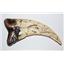 Utahraptor Dinosaur Claw Cast - Replica - NOT REAL FOSSIL  5 inch #10173  8o