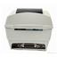 Zebra TLP2844 2844-10300-0001 Thermal Barcode Label Printer USB Parallel 203DPI