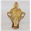 Hyaenodon Skull Cast - Replica - NOT REAL FOSSIL #11274 42o