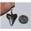 MEGALODON Shark TOOTH Earrings (Not Real Fossils - Metal Replicas) #12067 2o
