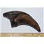 TYRANNOSAURUS REX T-Rex Dinosaur Claw Replica (Cast) -Not real Fossil #12831 18o
