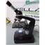 Wolfe Wetzlar 785485 Black Vintage Microscope 360 Degree Swivel 4 Objective