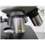 Wolfe Wetzlar 785485 Black Vintage Microscope 360 Degree Swivel 4 Objective