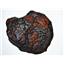 Nantan Iron Nickel Meteorite -Genuine-4422 grams w/ COA #14457