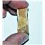 Onchopristis Vertebra & Tooth Fossil 3 1/4 inches 100 MYO 14544 5o