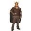 Viking Style Warrior Chief Adult Costume Standard