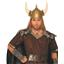 Viking Style Warrior Chief Adult Costume Standard