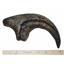 Allosaurus Dinosaur Claw Cast #18 (Fossil Replica - Reproduction) 24o