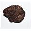 MOROCCAN Stony METEORITE Chondrite Genuine 71.1 grams w/color card #14644 6o