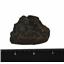 MOROCCAN Stony METEORITE Chondrite Genuine 70.0 grams w/color card #14653 6o