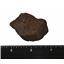 MOROCCAN Stony METEORITE Chondrite Genuine 72.3 grams w/color card #14654 6o