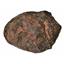 MOROCCAN Stony METEORITE Chondrite Genuine 776.7 grams w/color card #14667 30o