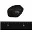 TEKTITE Glass Meteorite Approx. 250 gram Lot  #16834 12o