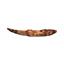 HYBODUS Shark Dorsal Fin Spine Real Fossil 7 1/4  inch #14968 5o