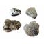 CRINOIDS Lot of Unprepared Fossils - Crawfordfordsville, Indiana #15074 66o
