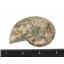 Ammonite Fossils Lot of 3 Morocco & Madagascar #12388