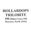 TRILOBITE Hollardops Fossil Morocco 390 Million Years old #15231 7o