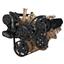 Black Diamond Serpentine System for Oldsmobile 350-455 - AC, Power Steering & Alternator