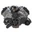 Stealth Black Serpentine System for Ford Coyote 5.0 - Alternator - All Inclusive