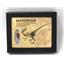 Dromeosaur Raptor Dinosaur Tooth Fossil .732 inch w/ Display Box SDB #15339 11o