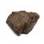 MOROCCAN METEORITE Chondrite Genuine 138.7 grams w/color card 15527 8o