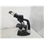 Bausch & Lomb Binocular Microscope w/ 4 Objectives