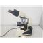Fisher 12-561-4B Micromaster Microscope w/ 4 Objectives