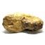 Ammonite Acanthoceras Split Polished Fossil Texas 96 MYO w/label  #16206 61o