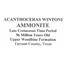 Ammonite Acanthoceras Split Polished Fossil Texas 96 MYO w/label  #16207 60o