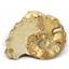 Ammonite Acanthoceras Split Polished Fossil Texas 96 MYO w/label  #16213 31o