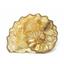Ammonite Acanthoceras Split Polished Fossil Texas 96 MYO w/label  #16246 36o