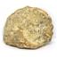 Ammonite Acanthoceras Split Polished Fossil Texas 96 MYO w/label  #16250 21o