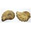 Ammonite Acanthoceras Split Polished Fossil Texas 96 MYO w/label  #16251 12o
