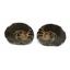 Ammonite Hoploscaphites Split Polished Fossil Montana 100 MYO w/label #16284 14o