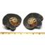 Ammonite Hoploscaphites Split Polished Fossil Montana 100 MYO w/label #16288 21o