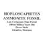 Ammonite Hoploscaphites Split Polished Fossil Montana 100 MYO w/label #16290 22o