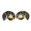 Ammonite Hoploscaphites Split Polished Fossil Montana 100 MYO w/label #16292 17o