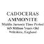 Ammonite Cadoceras Fossil England 165 Million Years Old #16309 25o