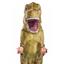 Disguise  Men's Jurassic World T-Rex Inflatable Adult Costume