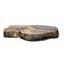 Petrified Wood from Washington USA Fossil #16410 26o