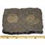 Dactylioceras Ammonite Fossil 180 MYO Germany #16496 16o