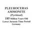 Ammonite Fossil Pleuroceras (Pyritized) Jurassic 185 MYO #16520 11o