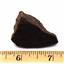 Chondrite MOROCCAN Stony METEORITE Genuine 32.5 grams w/ COA  #16539 4o